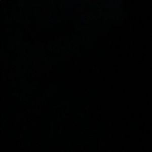 Meet your Posher, Lizzy